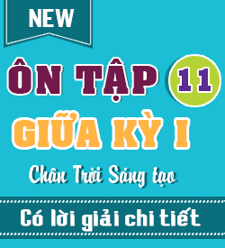 Ôn tập Giữa kỳ I (CTST_HH11)